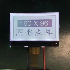 Module Hiển thị LCD 160 * 96